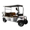 Arabian Carts 6-Seater Golf Cart 60v-1200W Electric