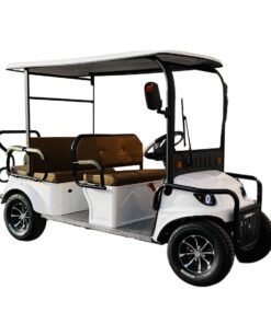 Arabian Carts 6-Seater Golf Cart 60v-1200W Electric