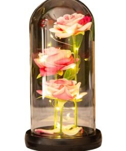 Preserved Rose Enchanted Rose Red Silk Rose in Glass Dome with LED Lights Pine Base, Romantic Home Decor Gifts for Mom Women Valentines Day Christmas Mothers Day Wedding Anniversary Birthday