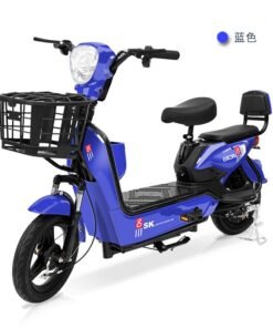 Source Two-Wheeled Electric Car Battery Car Folding Bicycle 48V Battery Electric Bike