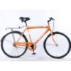 Shark 61 U.A.E 26" Inch Two Wheeler Mountain Bike With Rear Carrier