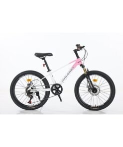 Raleigh EVA Plus-22 inch Magnesium Frame with 7 Speed