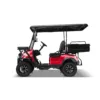 Elite Cruiser Utility 2-Seater with Cargo Box